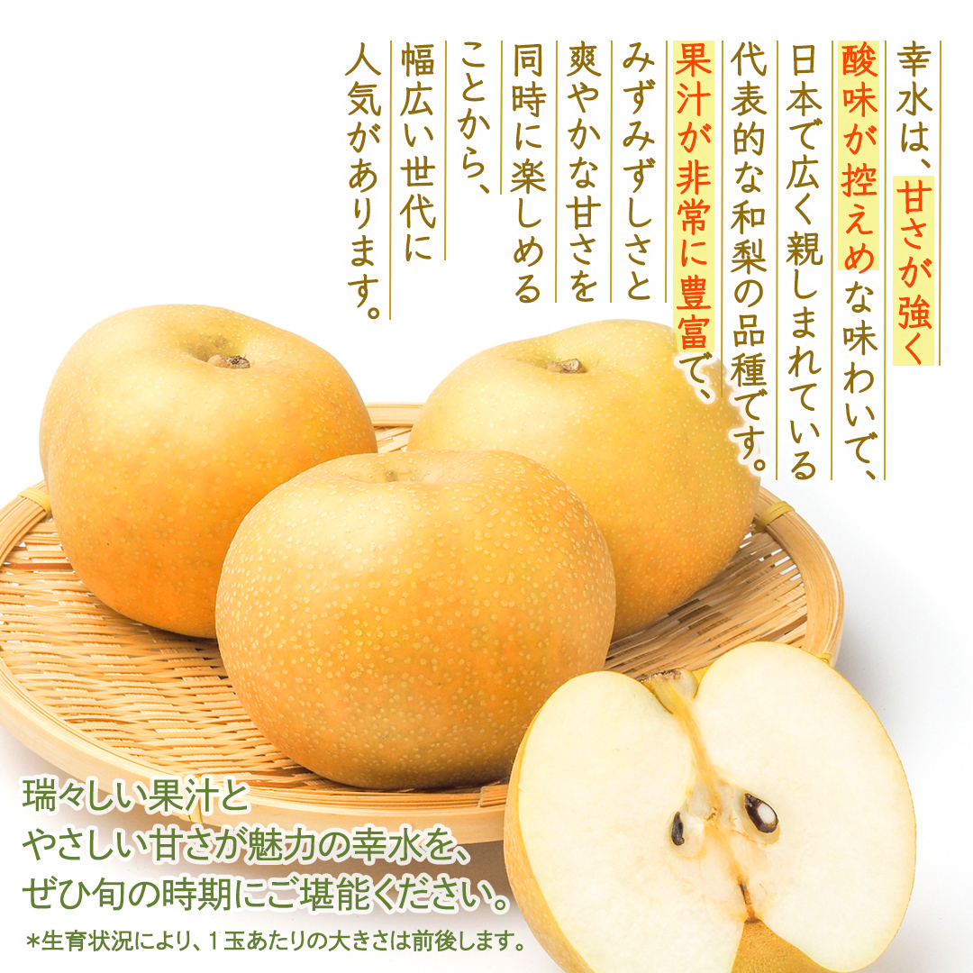 幸水 約3kg【2026年8月より発送開始】（茨城県共通返礼品 [梨]：大子町産） 高糖度 ギフト 贈り物 プレゼント フルーツ なし ナシ 和梨  梨 果実 旬のフルーツ お取り寄せ くだもの 果物 みずみずしい [FC72-NT]