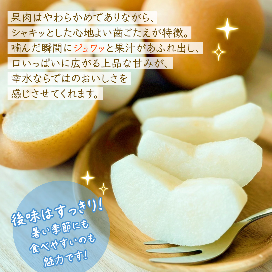 幸水 約3kg【2026年8月より発送開始】（茨城県共通返礼品 [梨]：大子町産） 高糖度 ギフト 贈り物 プレゼント フルーツ なし ナシ 和梨  梨 果実 旬のフルーツ お取り寄せ くだもの 果物 みずみずしい [FC72-NT]