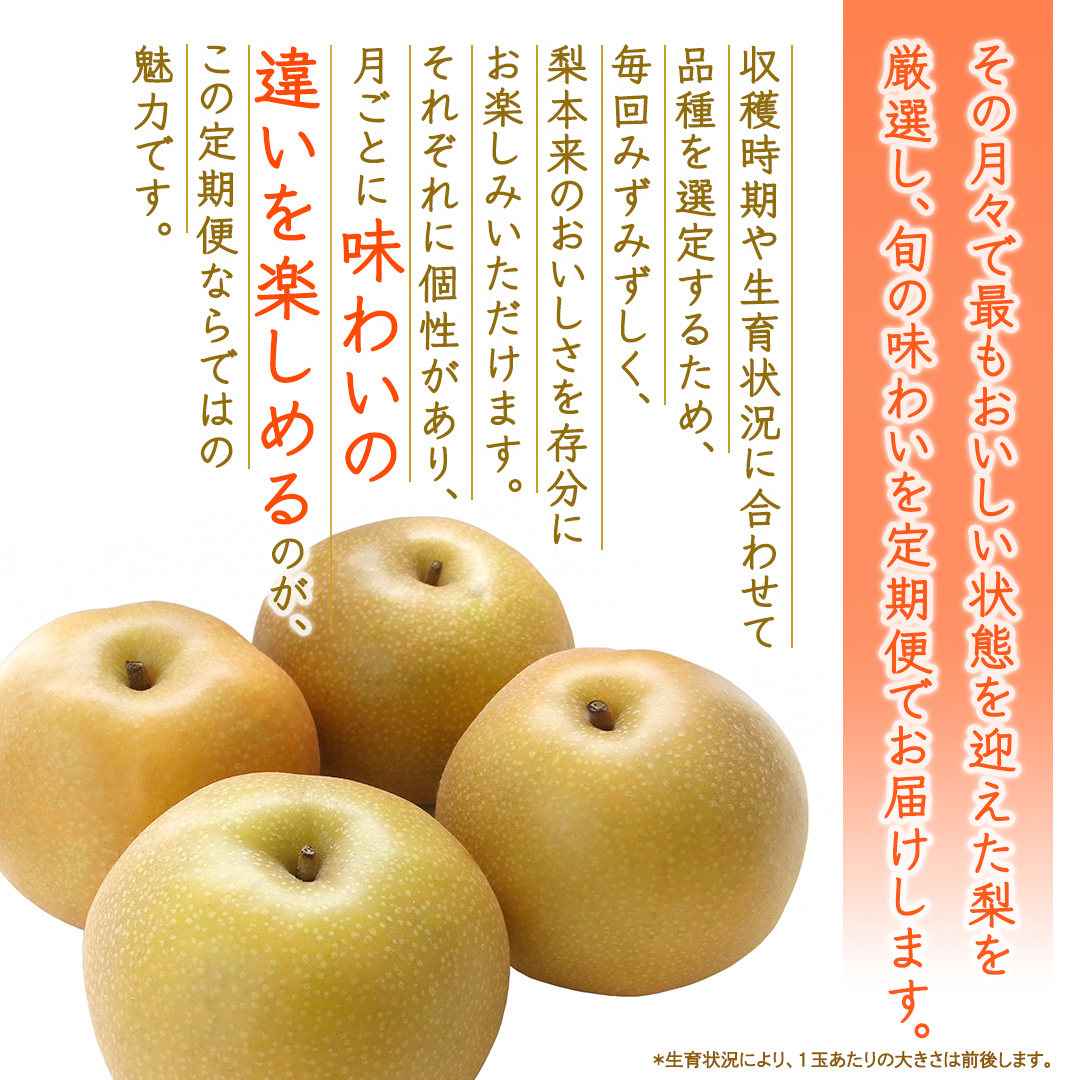 【定期便】3か月連続でお届け！ 旬の梨 おまかせ 約3kg（茨城県共通返礼品 [梨]：大子町産） 高糖度 ギフト 贈り物 プレゼント フルーツ なし ナシ 和梨  梨 果実 旬のフルーツ お取り寄せ くだもの 果物 みずみずしい  [FC81-NT]