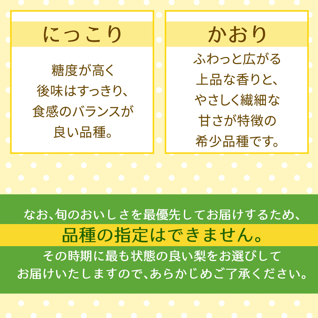 【定期便】3か月連続でお届け！ 旬の梨 おまかせ 約3kg（茨城県共通返礼品 [梨]：大子町産） 高糖度 ギフト 贈り物 プレゼント フルーツ なし ナシ 和梨  梨 果実 旬のフルーツ お取り寄せ くだもの 果物 みずみずしい  [FC81-NT]