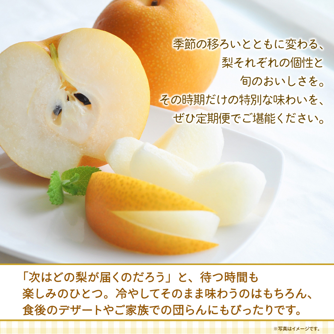 【定期便】3か月連続でお届け！ 旬の梨 おまかせ 約3kg（茨城県共通返礼品 [梨]：大子町産） 高糖度 ギフト 贈り物 プレゼント フルーツ なし ナシ 和梨  梨 果実 旬のフルーツ お取り寄せ くだもの 果物 みずみずしい  [FC81-NT]