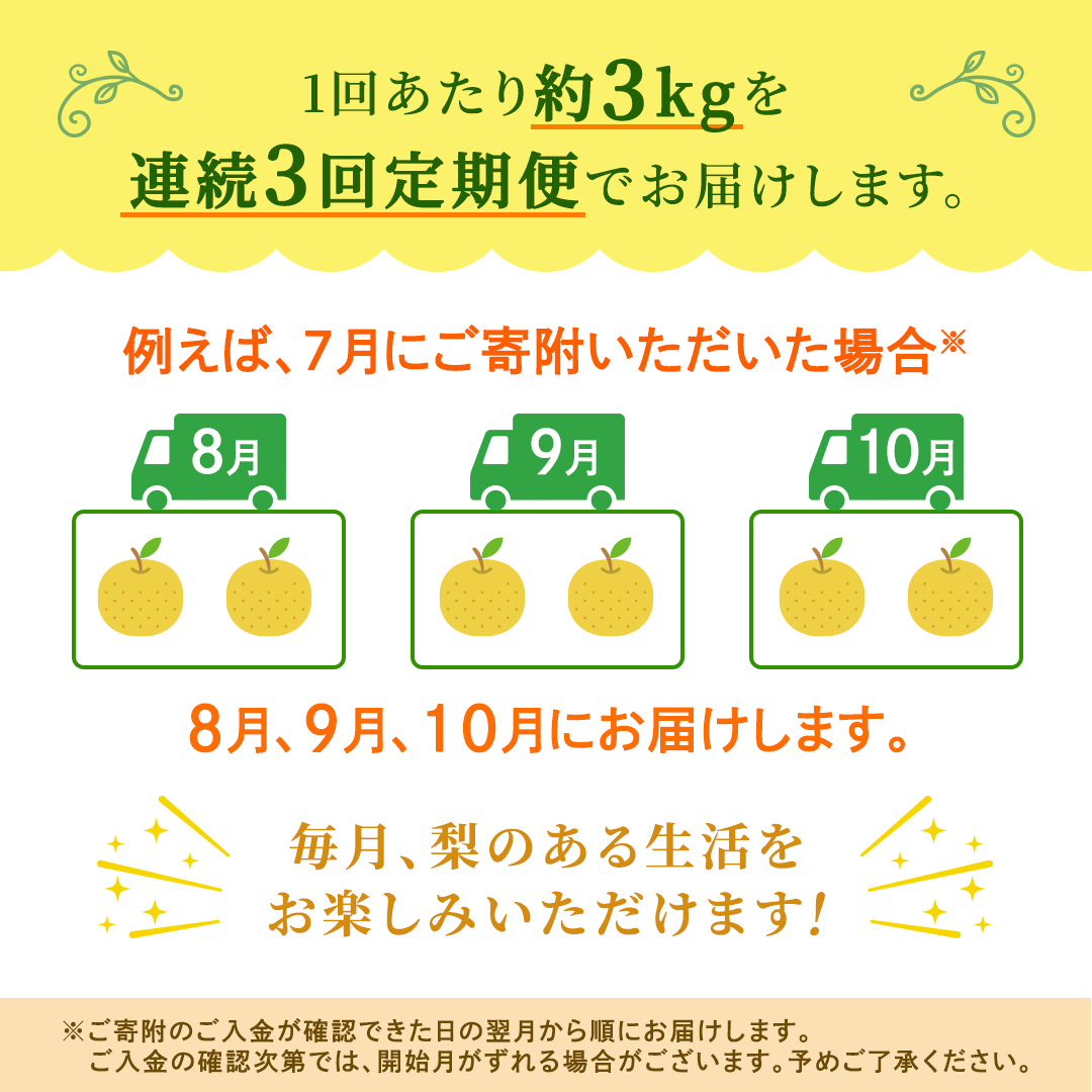 【定期便】3か月連続でお届け！ 旬の梨 おまかせ 約3kg（茨城県共通返礼品 [梨]：大子町産） 高糖度 ギフト 贈り物 プレゼント フルーツ なし ナシ 和梨  梨 果実 旬のフルーツ お取り寄せ くだもの 果物 みずみずしい  [FC81-NT]