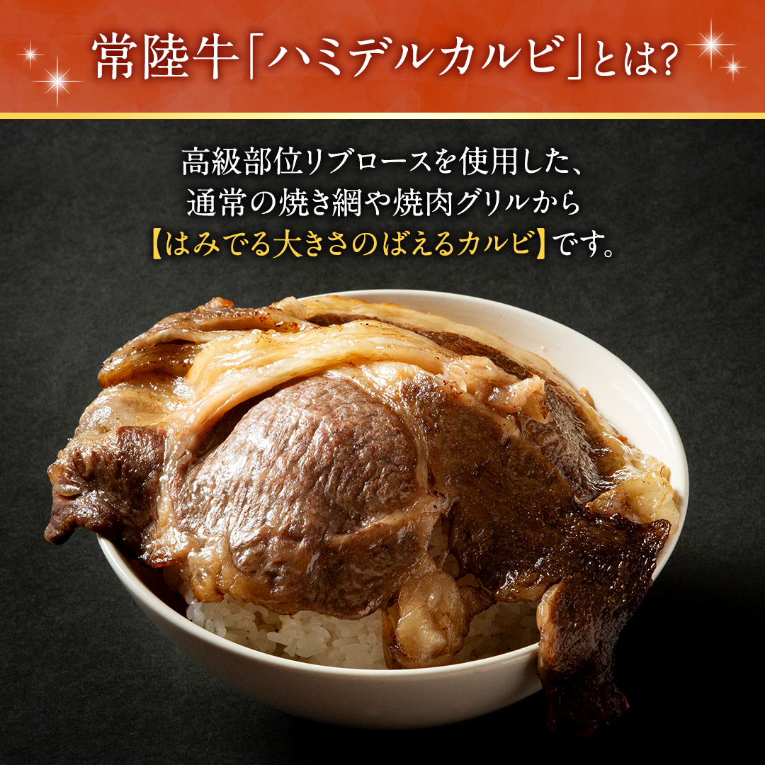 【 スピード発送 】【 常陸牛 】A5 等級 ハミデルカルビ 300g (2～3枚) ひたちぎゅう ブランド牛 カルビ 国産牛 黒毛和牛 和牛 国産黒毛和牛 お肉 A5ランク 高級 BBQ パーティ (茨城県共通返礼品) [BX126-NT-sp]
