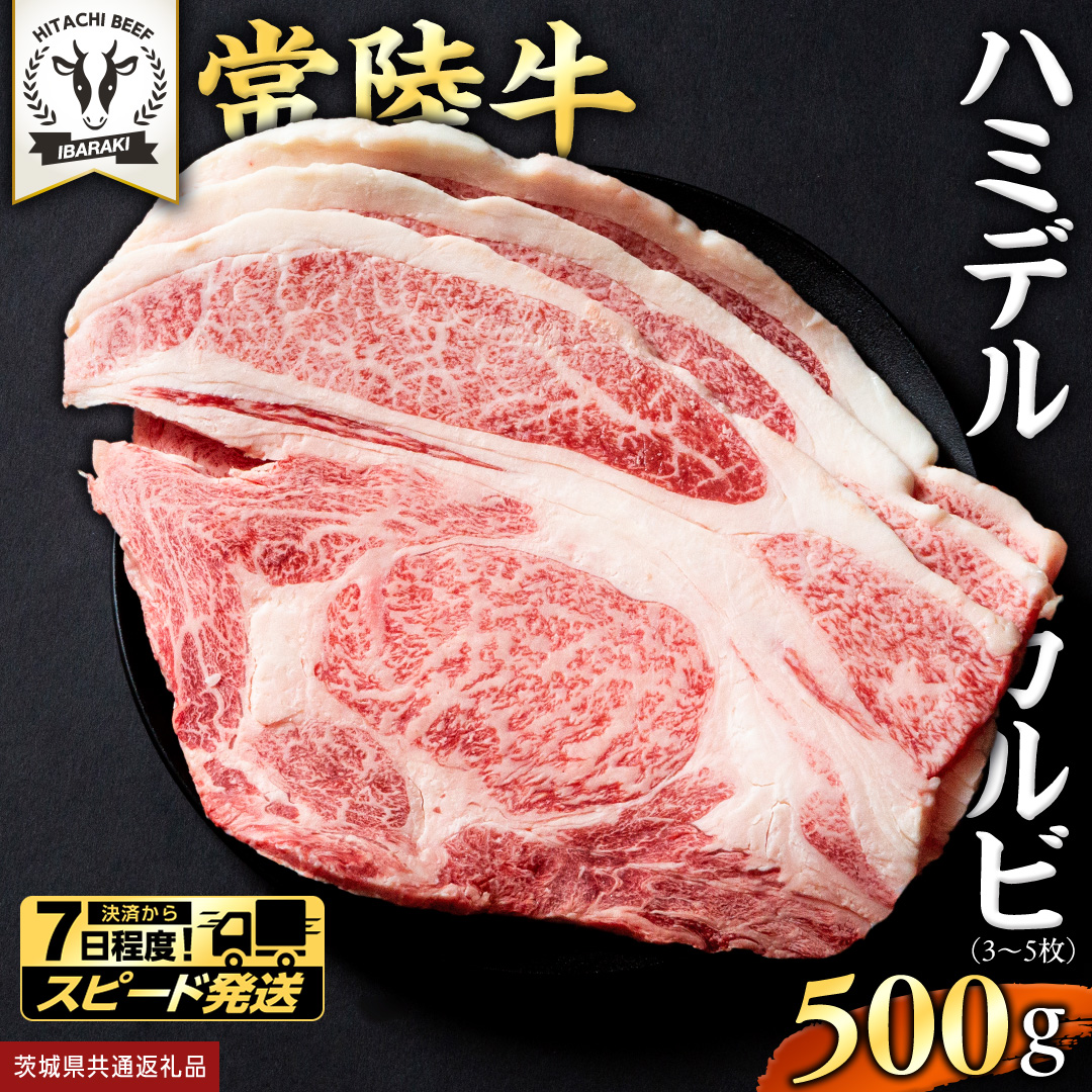 【 スピード発送 】【 常陸牛 】A5 等級 ハミデルカルビ 500g (3～5枚) ひたちぎゅう ブランド牛 カルビ 国産牛 黒毛和牛 和牛 国産黒毛和牛 お肉 A5ランク 高級 BBQ パーティ (茨城県共通返礼品)