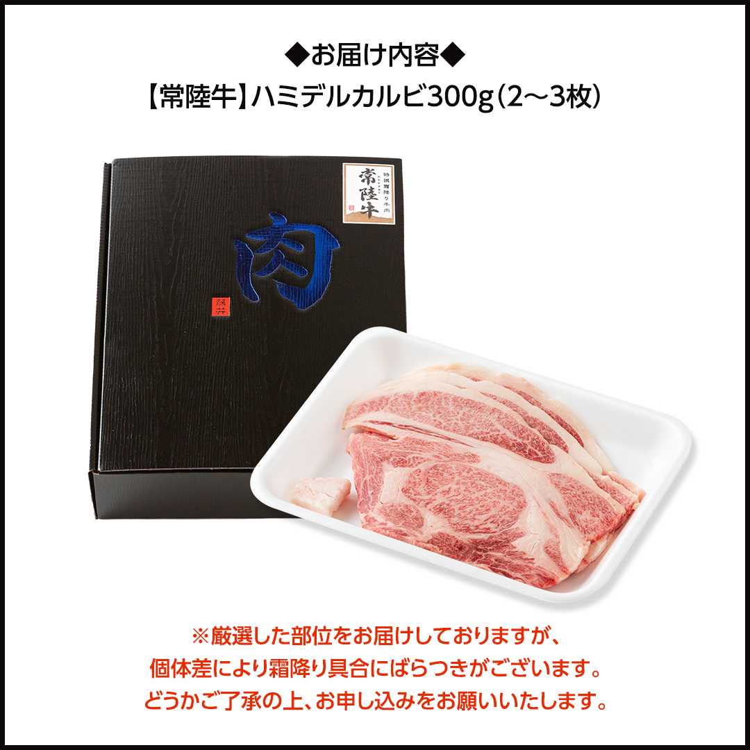 【 スピード発送 】【 常陸牛 】A5 等級 ハミデルカルビ 500g (3～5枚) ひたちぎゅう ブランド牛 カルビ 国産牛 黒毛和牛 和牛 国産黒毛和牛 お肉 A5ランク 高級 BBQ パーティ (茨城県共通返礼品) [BX127-NT-sp]