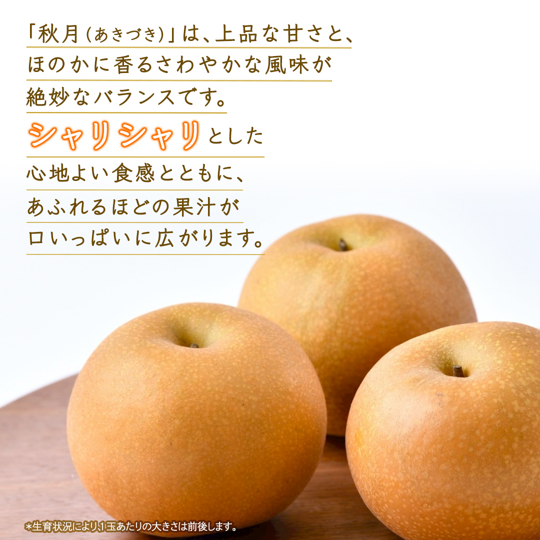 あきづき 梨 約3kg 【2026年10月より発送開始】（茨城県共通返礼品 [梨]：大子町産） なし 旬 お取り寄せ フルーツ 甘い ジューシー 和梨 時期 秋月 [FC13-NT]