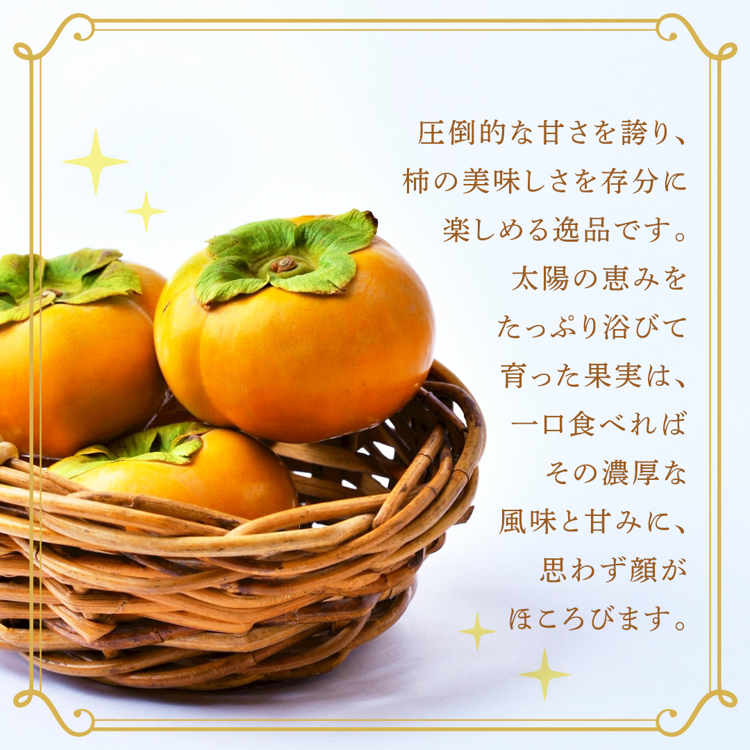 富有柿 約10kg 【2026年10月より発送開始】 （茨城県共通返礼品 [柿]：大子町産） かき 旬 お取り寄せ フルーツ 甘い 秋の味覚 [FC11-NT]