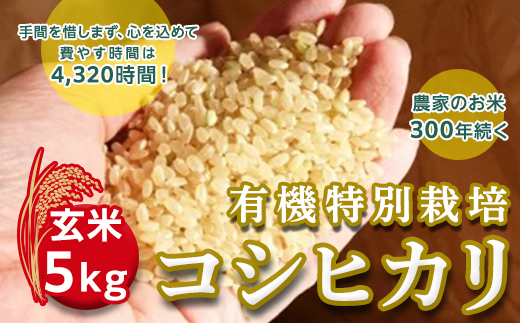 ＜令和２年産＞三百年続く農家の有機特別栽培コシヒカリ（【玄米】５ｋｇ） [AC14-NT]