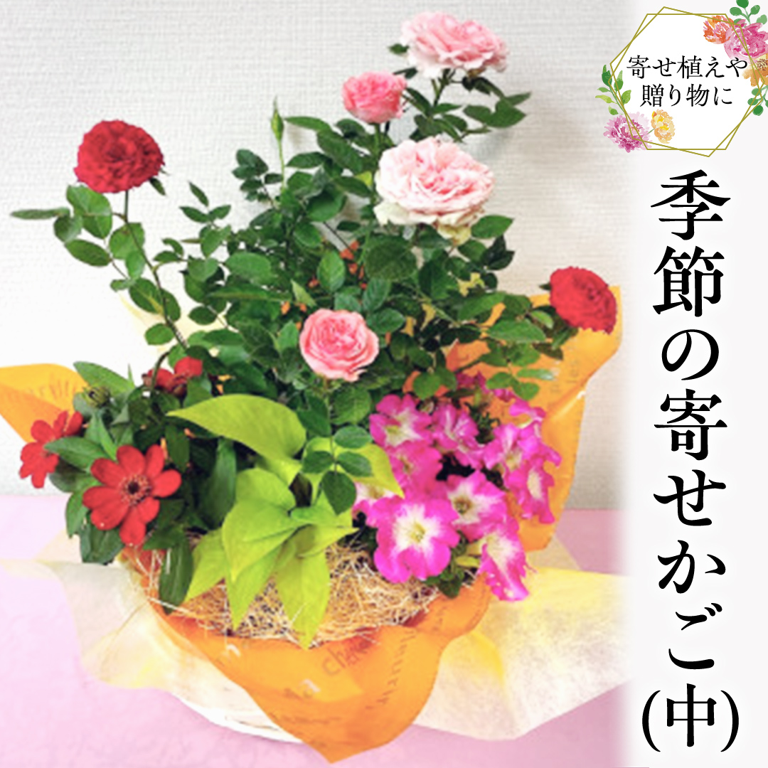 季節の寄せかご（中） 花 お花 フラワー 誕生日 プレゼント ギフト 贈り物 父の日 母の日 [AS01-NT]