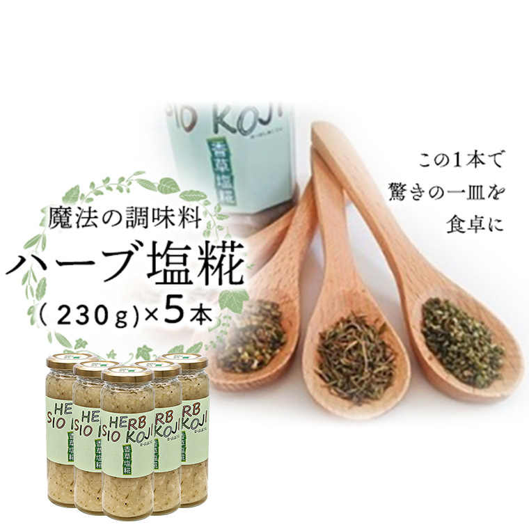 魔法の調味料 【 ハーブ塩糀 】× 5本 塩糀 塩麹 塩こうじ 麹 ハーブ 料理 調味料 発酵 農創 [AC11-NT]