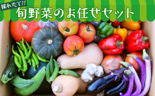 【数量限定】旬野菜のお任せセット [AH06-NT]