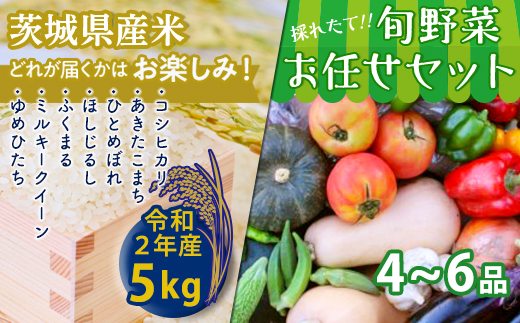 【数量限定】＜令和２年産米＞茨城県産米と旬野菜のセット [AH17-NT]