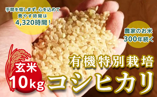 ＜令和２年産＞三百年続く農家の有機特別栽培コシヒカリ（【玄米】１０ｋｇ） [AC03-NT]