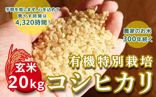 ＜令和２年産＞三百年続く農家の有機特別栽培コシヒカリ（【玄米】２０ｋｇ） [AC04-NT]