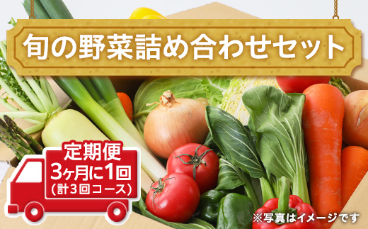 田舎の頑固おやじ厳選！【定期便】旬の野菜詰め合わせセット3ヶ月に1回(計3回コース) [BI02-NT]