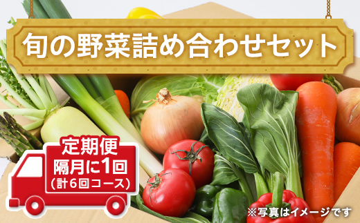 田舎の頑固おやじ厳選！【定期便】旬の野菜詰め合わせセット 隔月に1回(計6回コース) [BI03-NT]