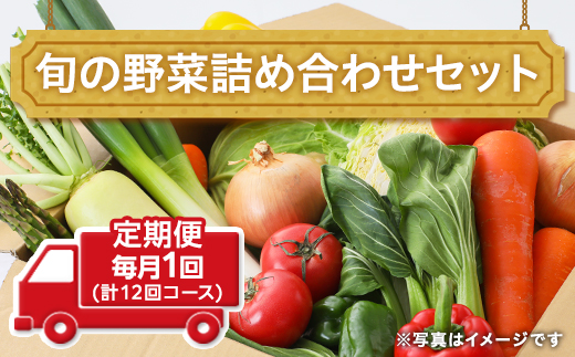 田舎の頑固おやじ厳選！【定期便】旬の野菜詰め合わせセット 毎月1回(計12回コース) [BI04-NT]