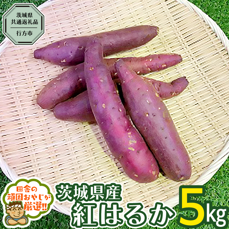 べにはるか 5kg （県内共通返礼品：行方市産） さつまいも 紅はるか 芋 いも 野菜 [BI07-NT]