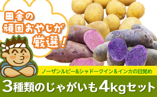 田舎の頑固おやじ厳選！３種類のじゃがいも4kgセット【令和３年６月から順次お届け】 [BI13-NT]