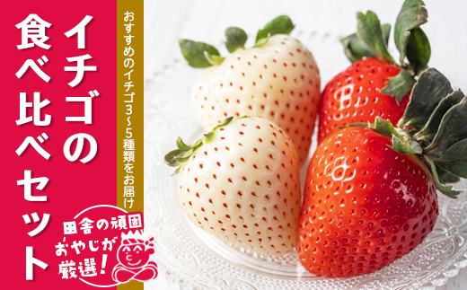 田舎の頑固おやじが厳選！イチゴの食べ比べセット【令和3年2月から順次お届け】 [BI32-NT]