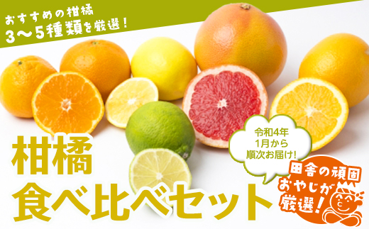 田舎の頑固おやじが厳選！柑橘はこれだっぺセット【令和4年1月から順次お届け】 [BI41-NT]