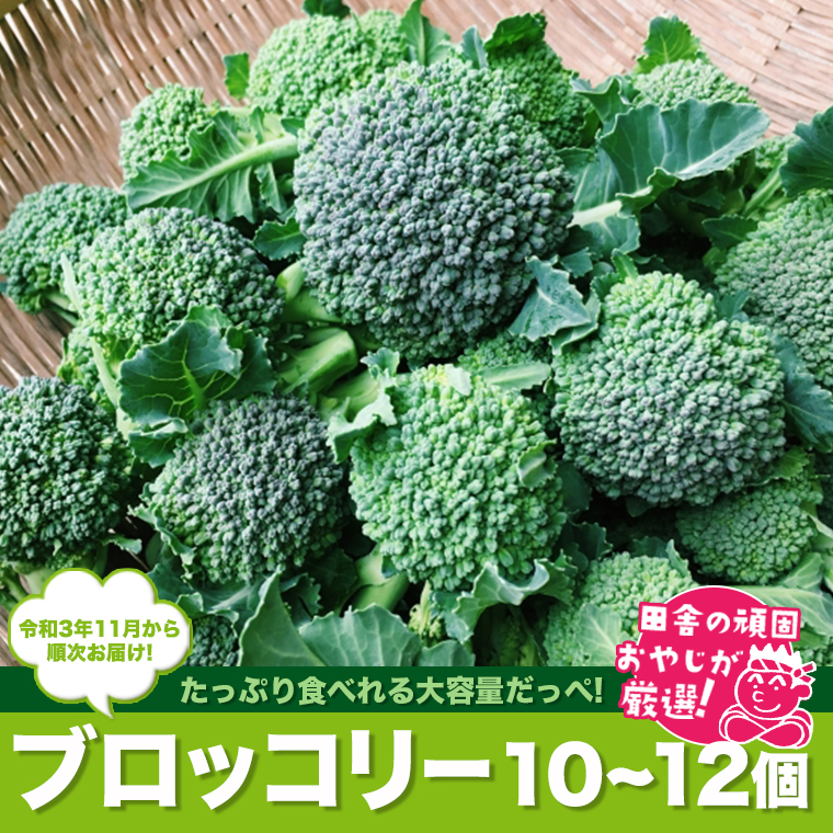 田舎の頑固おやじが厳選！たっぷりブロッコリー10～12個【令和3年11月から順次お届け】 [BI42-NT]