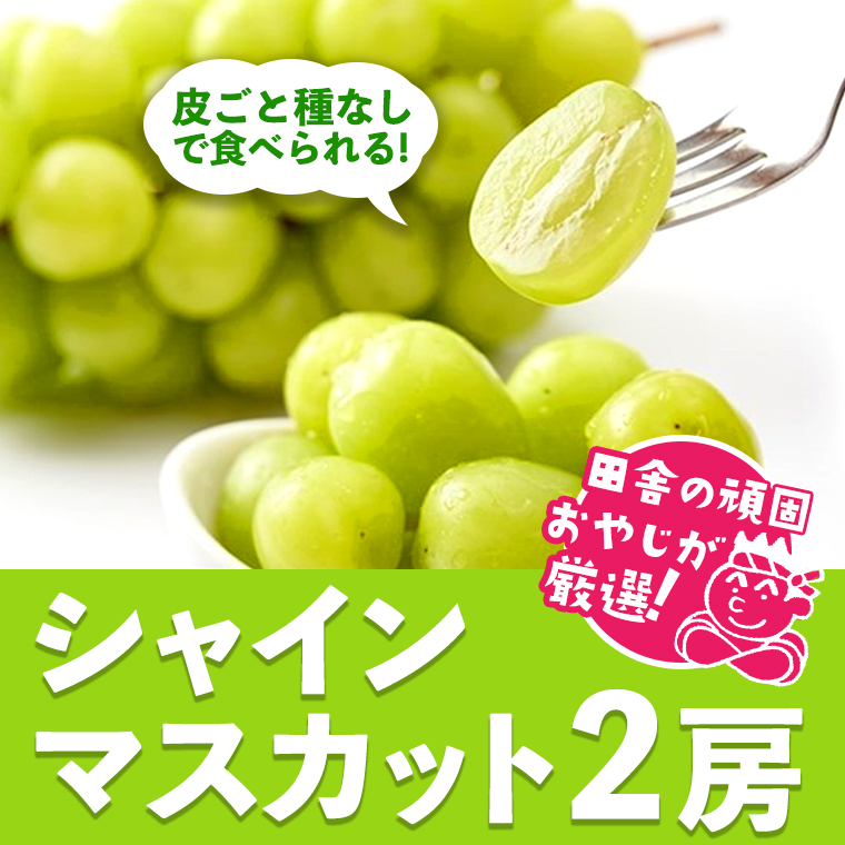 田舎の頑固おやじが厳選！シャインマスカット2房【令和6年8月から順次お届け】 [BI55-NT]