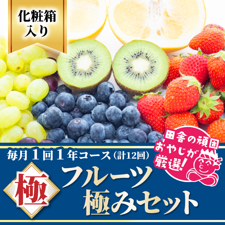 田舎の頑固おやじが厳選！フルーツ極み定期便セット【毎月1回1年コース(計12回)】［化粧箱入り］ [BI65-NT]