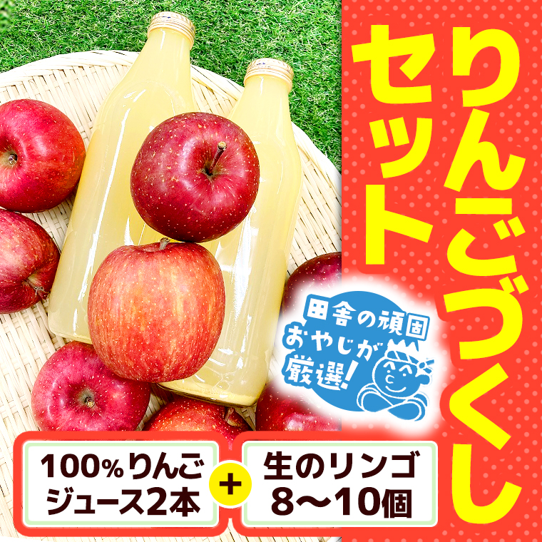 田舎の頑固おやじが厳選！100％りんごジュース2本＆生りんご8～10個のりんごづくしセット【令和3年9月から順次お届け】 [BI66-NT]