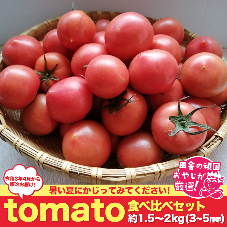 田舎の頑固おやじが厳選！　tomato食べ比べセット 3～5種類・約1.52kg【令和3年4月から順次お届け】 [BI52-NT]