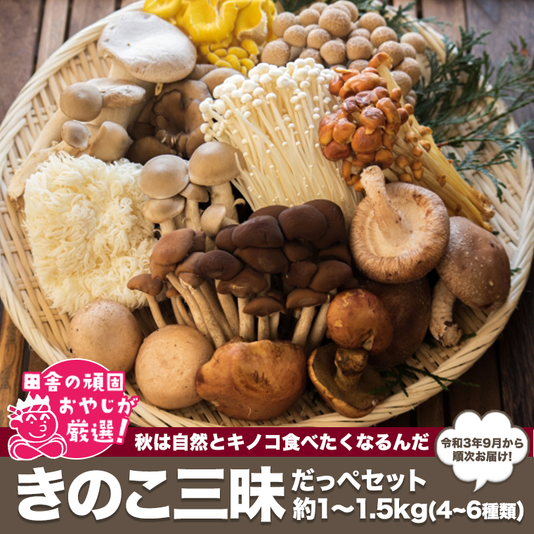 田舎の頑固おやじが厳選！　きのこ三昧だっぺセット　4～6種類・約1～1.5kg【令和3年9月から順次お届け】　 [BI54-NT]