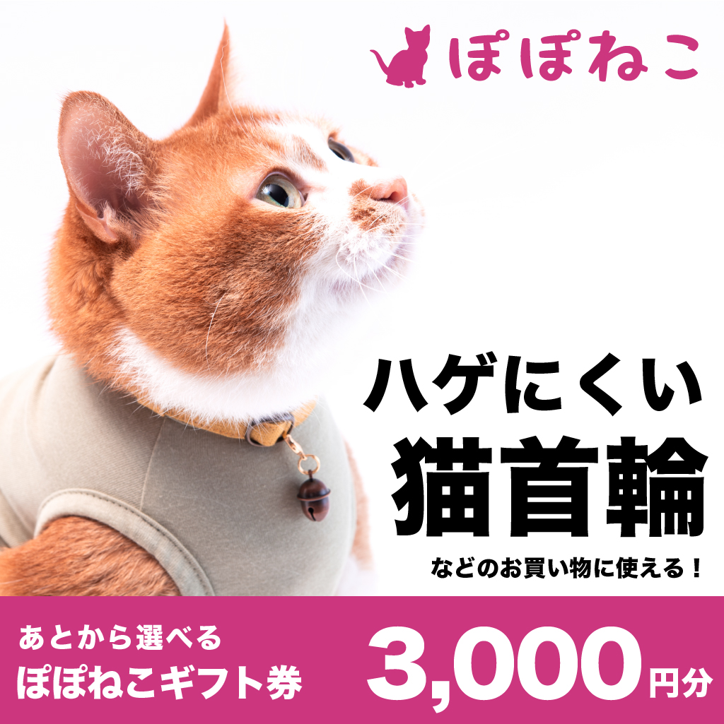 ぽぽねこギフト券3,000円分（Eメールタイプ） 商品券 猫首輪 ハーネス エリザベスカラー 猫服 リード 保護服 迷子札 [BQ01-NT]