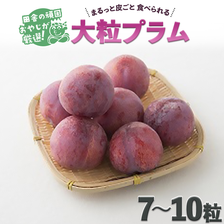 田舎の頑固おやじが厳選！大粒プラム7～10粒【令和3年7月より順次お届け】 [BI88-NT]