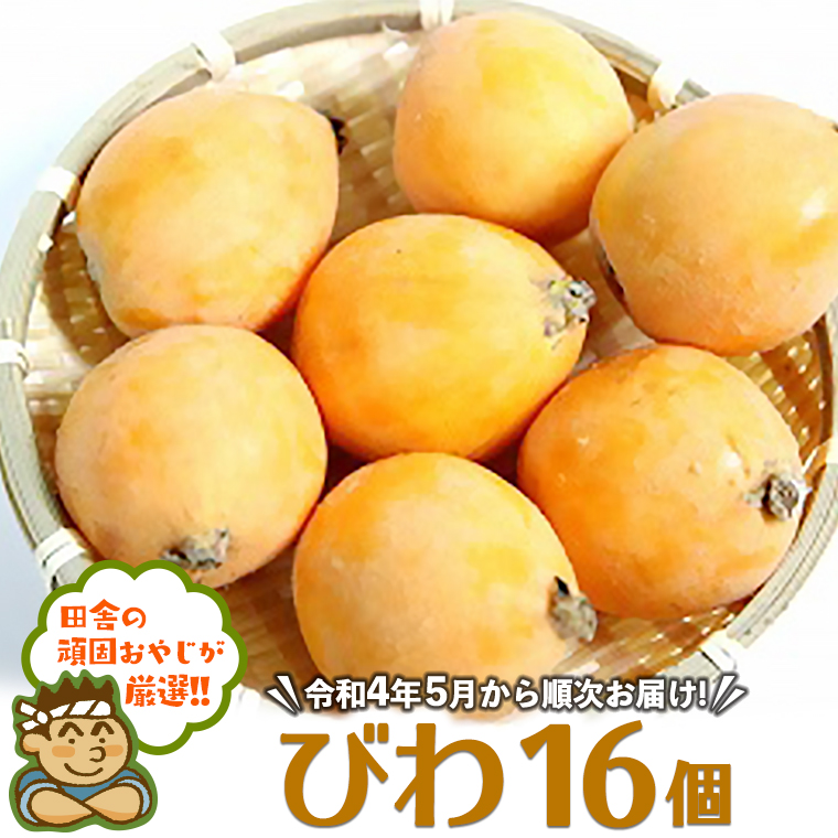 田舎の頑固おやじが厳選！びわ16個【令和4年5月から順次お届け】 [BI96-NT]