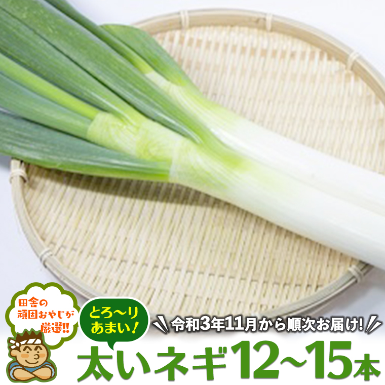 田舎の頑固おやじが厳選！とろーりあまい太いネギ12～15本【令和3年11月から順次お届け】 [BIA3-NT]