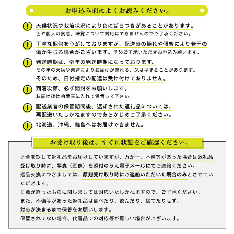 【訳あり】田舎の頑固おやじが厳選！ 巨峰2房【令和3年8月より順次発送】 [BIB9-NT]