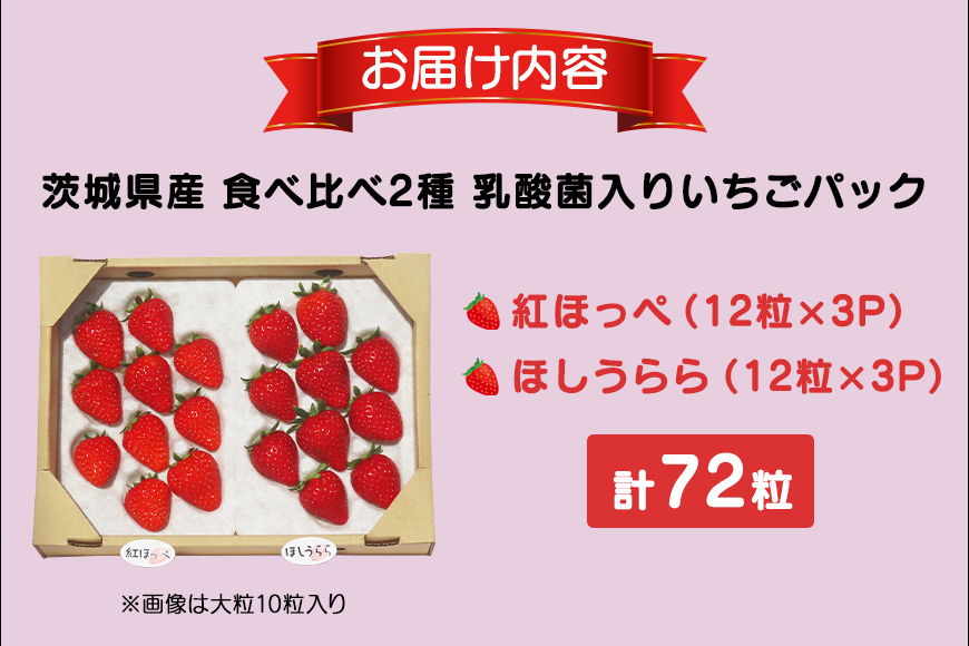 【数量限定・先行予約】 ★食べ比べ2種★ 紅ほっぺ・ほしうらら 『乳酸菌入りいちごパック』 12粒×6 いちご 乳酸菌 イチゴ 苺 食べ比べ フルーツ 果物 くだもの 健康 パック 贈答 ギフト 茨城 国産 19-X