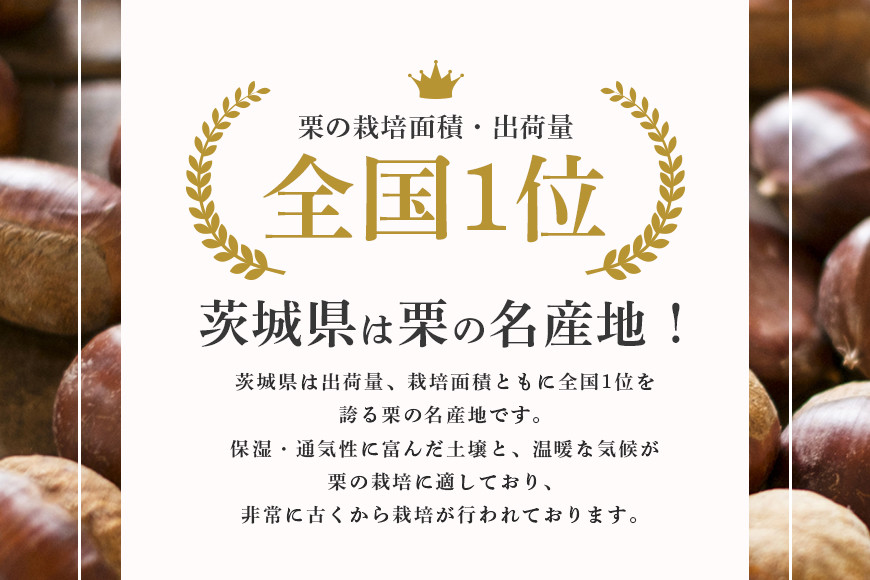 倉方甘栗の焼き栗 900g 10月中旬〜12月末発送 無農薬 栗 和栗 くり 焼栗 自然 倉方 甘栗 果物 フルーツ 日本 国産 茨城 茨城県産 秋 冬 55-B