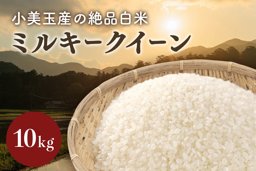 【令和5年産】 小美玉産ミルキークイーン 10kg 10キロ みるきーくいーん お米 白米 茨城県 小美玉市 17-J