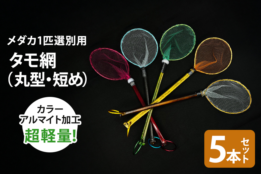 メダカ1匹選別用 タモ網（丸型・短め） 5本セット 83-H