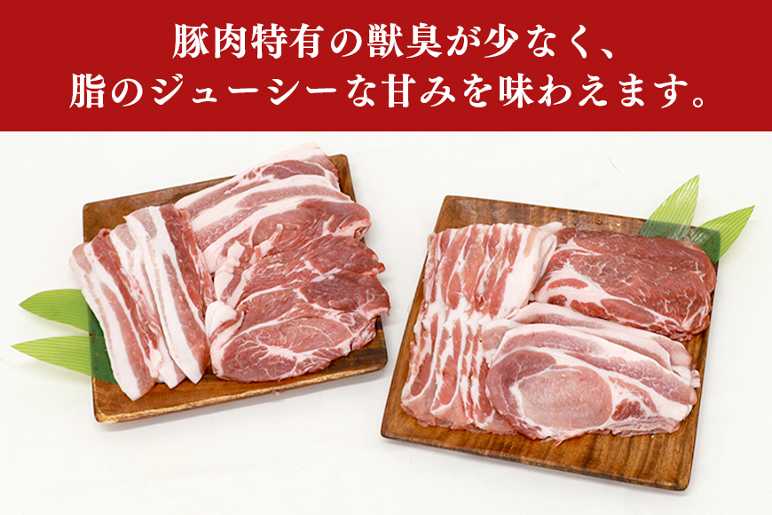 ブランド豚「ばんぶぅ」化粧箱入りギフト 2種（しゃぶしゃぶ用、焼肉用）計1.5kg 冷凍便 1.5キロ 大容量 たっぷり 豚肉 豚ロース 豚肩ロース 豚バラ肉 豚ばら肉 スライス うす切り 薄切り 豚しゃぶ 焼き肉 ぶた肉 ブタ肉 国産 茨城県産 プレゼント 贈り物 贈答品 お祝い 42-AX