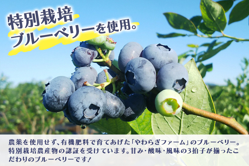 茨城県産冷凍ブルーベリー（小粒） 1.1kg 国産 小分け 特別栽培農産物