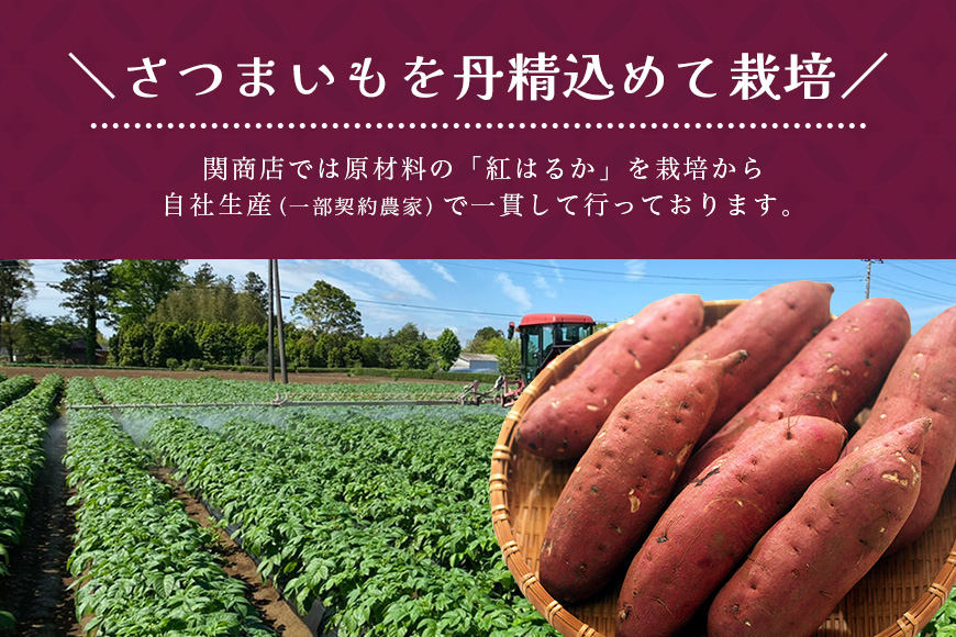 【期間限定】 関商店 焼き芋 紅はるか 1.5kg 国産 茨城県産 砂糖不使用 焼き芋 やきいも 焼芋 焼きいも べにはるか ベニハルカ 甘い 柔らかい 安心 安全 品質 食味 おやつ 62-G