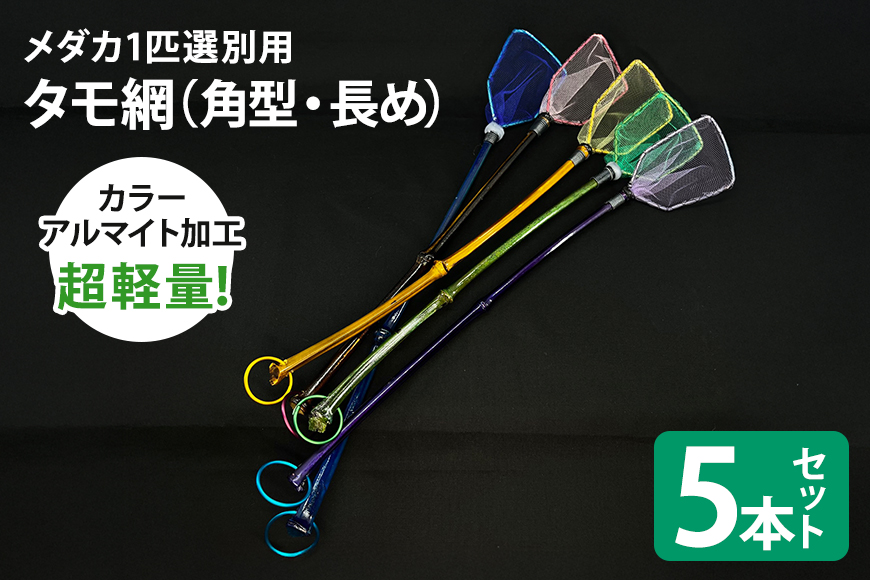 メダカ1匹選別用 タモ網（角型・長め） 5本セット 83-J