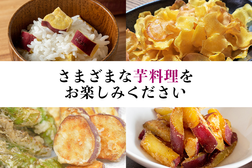 ãã€ãŸãã çŽ
ã¯ãã èŠæ Œå€å 5kg ãµããã€ã¢ ãã€ãŸè çè ã¹ã«ã¯ãã èš³ãã åœç£ èšåçç£ ç®± çŽé ãããã çŒãã çŒãè çŒè ãã〠ã¹ã€ãŒãäœã ã±ãŒãäœã ã¹ã€ãŒãããã 倧åŠè 倧åŠãã 12-AW