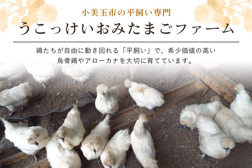 平飼い極上のうこっけいの卵24個（20＋補償4個）×定期便12回【12か月定期便】 たまご タマゴ 玉子 烏骨鶏 烏骨鶏の卵 安全 テレビ TV マニアさん 健康 美容 ご飯 すき焼き 目玉焼き 卵焼き 玉子焼き たまご焼き 卵かけご飯 卵かけごはん TKG 37-C