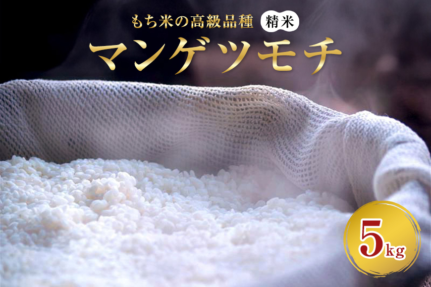 マンゲツモチ 精米 5kg もち米の高級品種 お米 精米 もち米 白米 ごはん ご飯 もち 餅 モチ 単一原料米 茨城県産 高級 高品質 69-T