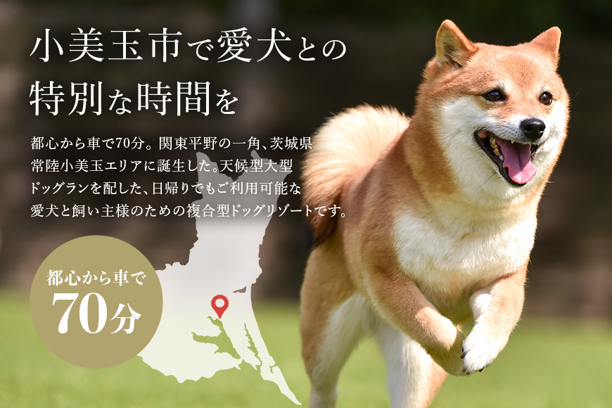 グランデ プライベート ドッグリゾート常陸宿泊券 1,000円×5枚（平日限定） 愛犬 ペットOK ドッグラン プール 温泉 サウナ ホテル チケット 宿泊 旅行 宿泊券 旅行券 72-A