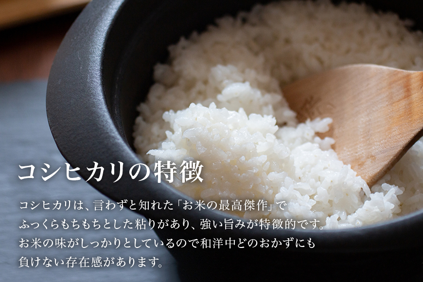 【令和6年産】 小美玉産コシヒカリ・ミルキークイーン食べ比べセット 計10kg（各5kg）10キロ 5キロ こしひかり ミルキークイーン 食べくらべ お米 白米 茨城県 小美玉市 17-L