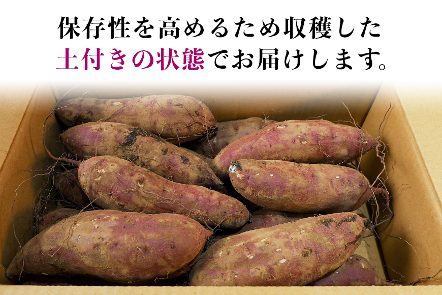 干し芋屋のさつまいも（紅はるか） 5kg サツマイモ さつま芋 生芋 べにはるか ベニハルカ 国産 茨城県産 箱 直送 やきいも 焼いも 焼き芋 焼芋 おやつ スイーツ作り ケーキ作り スイートポテト 大学芋 大学いも 5キロ 12-R